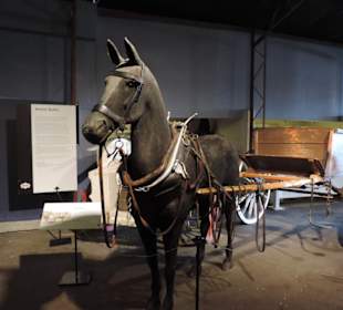 Im MOTAT Museum unterwegs