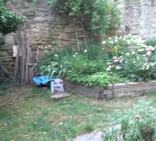 Interkultureller Gemeinschaftsgarten