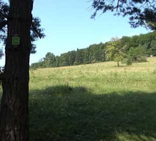 Premiumwanderweg "hochgesprudelt"