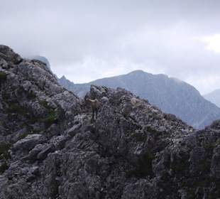 Mindelheimer Klettersteig