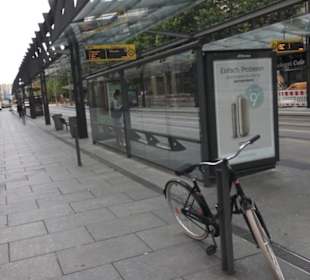 Rund um die Frauenkirche