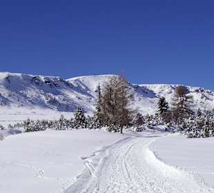 Villanderer Alm