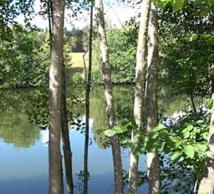 Neuer See