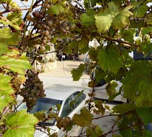 Weinbauernhof Hlebec