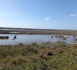 Naturpark S'Albufera