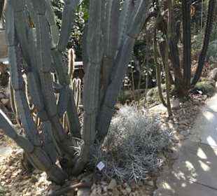 Botanischer Garten