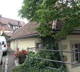 Stein mit Hirschhorn
