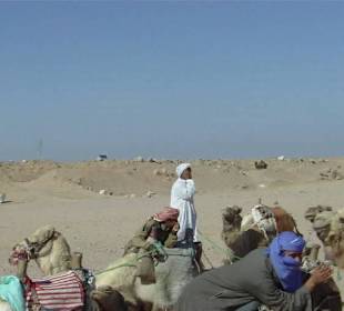 Beim Kamelreiten 