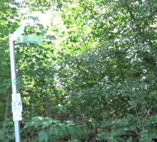 Premiumwanderweg "hochgehackert"