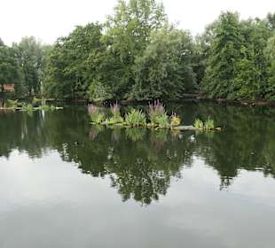 Beim künstlichen See im Kölner Mediapark
