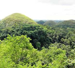 Bohol Chocolate Hills
