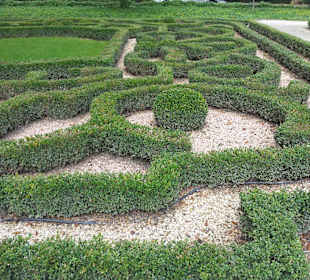 Palmiarnia Park Oliwski