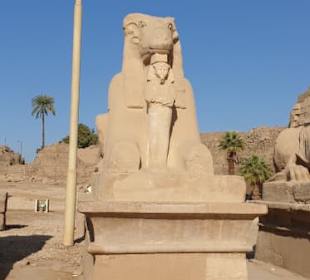 Erlebnis Ägypten VIP Ausflüge