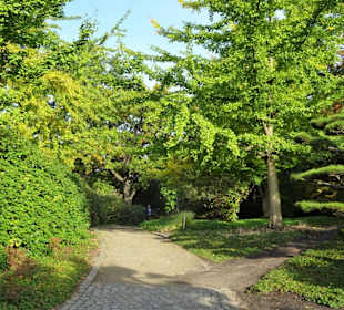 Im Japanischen Garten von "Planten un Blomen"