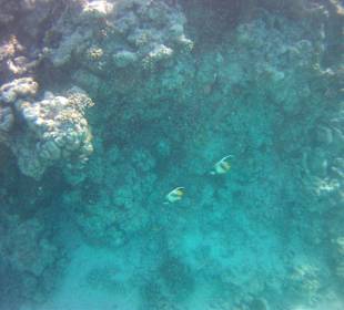 Impressionen vom Riff