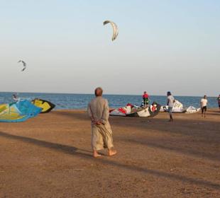 Element Watersports  - El Gouna 