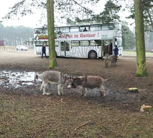 Busfahrt sehr schön 