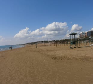 Strand