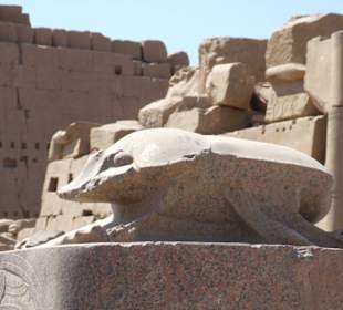 Posąg skarabeusza w światyni w karnak