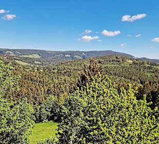 Ausblick