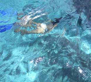 Tauchen mitten im Meer