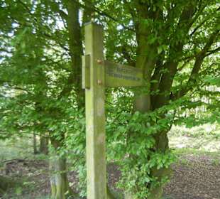 Naturschutzgebiet Boberger Niederung