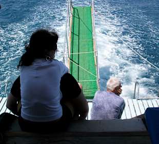 Ob wir schon Delfine sehen?