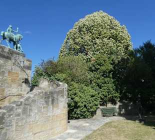 Veste Coburg: bei der Besichtigung der Veste
