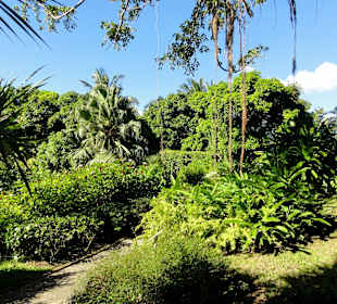 Impressionen aus dem Jardin Botanique de Deshaies