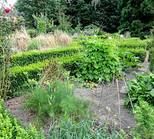 Rundgang durch den Botanischen Garten Oldenburg