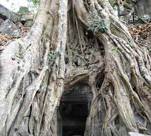 Ta Prohm