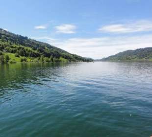 Segeln am Großen Alpsee