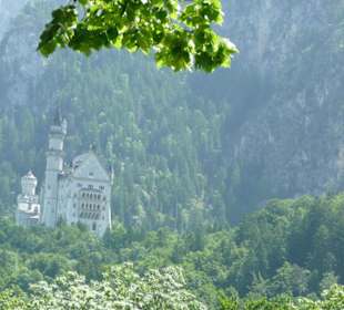 Neuschwanstein