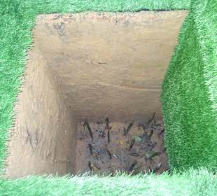 Modell einer Falle, tödlich