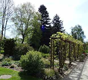Garten Hohenheim