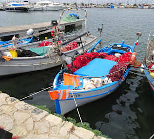 Am Kai der Fischer im Hafen von Alghero