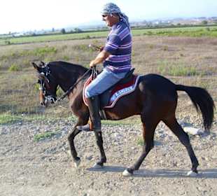 Sherif Mehmet beim Ausrittt