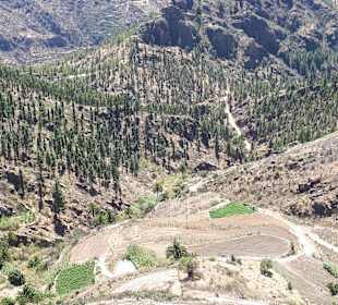 Wandern Playa del Ingles