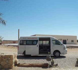 Badawya Transporter 