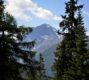Ausblick zum Zwölfer