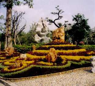 The Million Years Stone Park