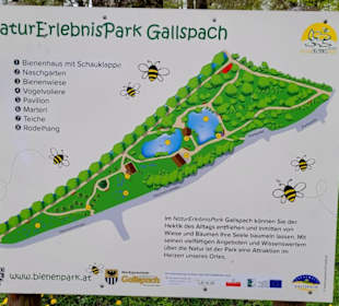 Plan vom Park