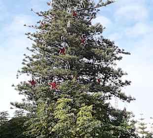 Stadtrundgang Sesimbra