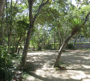 Spaziergang auf dem Ruinengelände