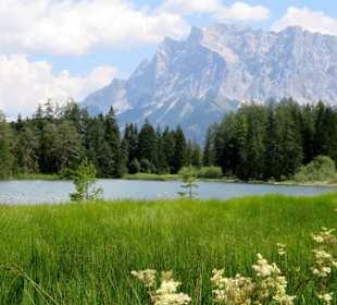 Der Weißensee - ein Naturparadies