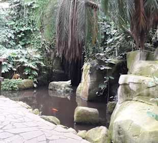 Weltvogelpark Walsrode