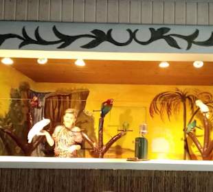 Schwabenpark in Welzheim