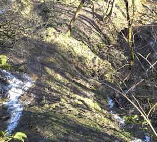 Wandertour Eppenzill