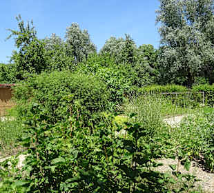 Stadtrundgang Singen