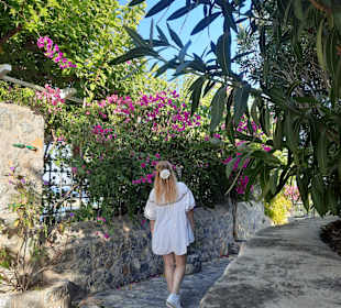 Es gibt schöne Fotohintergünde